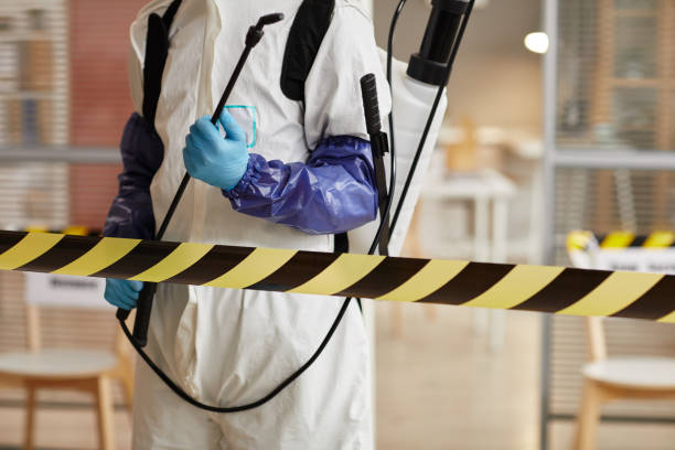 Professional Sewage Cleanup technician working in Hurley, WI